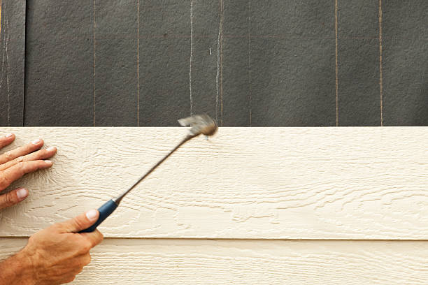 Best Siding Removal and Disposal  in Somerville, NJ